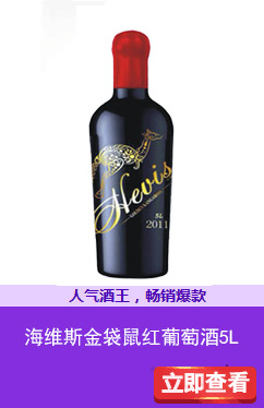 海维斯金袋鼠红葡萄酒5L